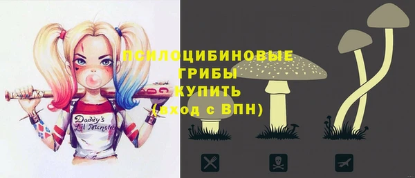 а пвп мука Аркадак