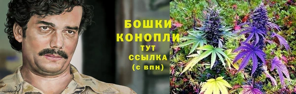 таблы Рославль