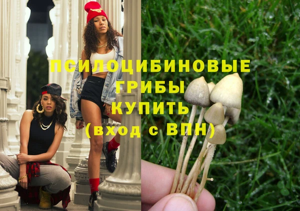 а пвп мука Аркадак
